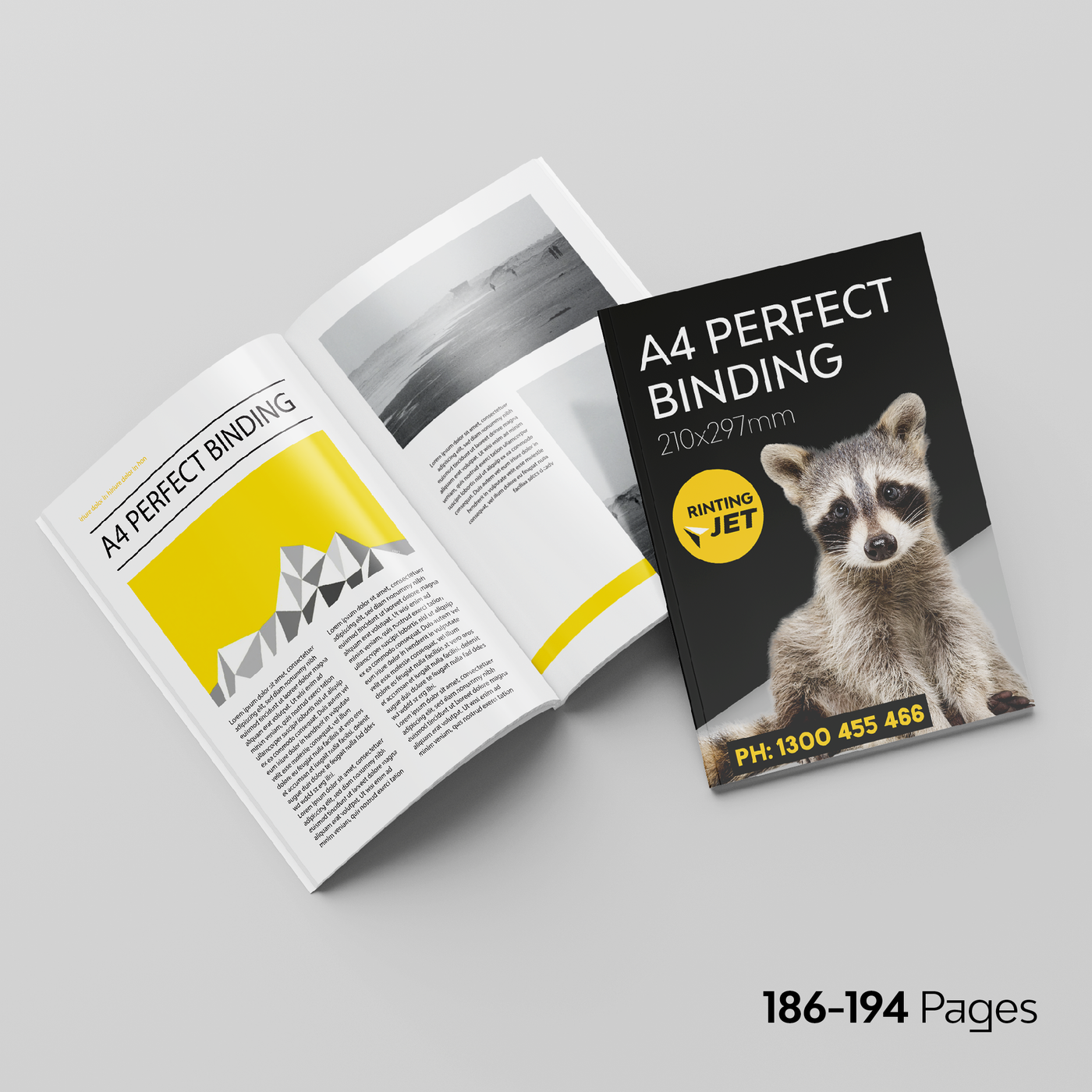 186-194pp A4 Portrait Perfect Binding Booklets 350GSM Cover with 150GSM Inner Pages