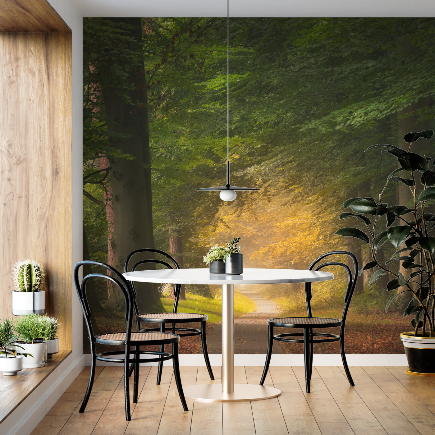 Wall Graphic Sticker
