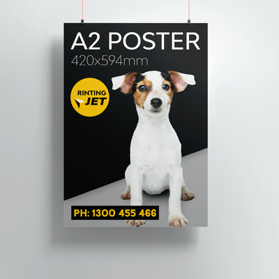 Posters (Matt PP poster)
