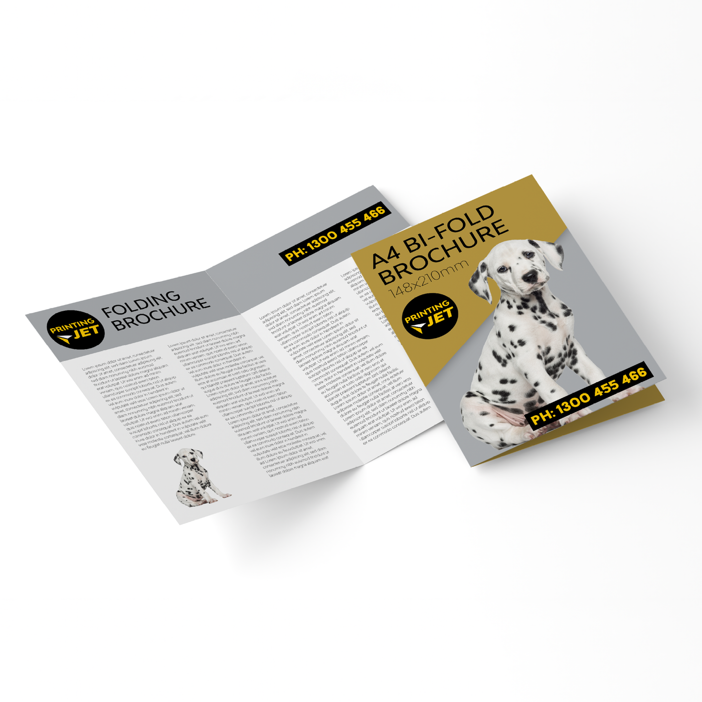 A4 Folding Brochures